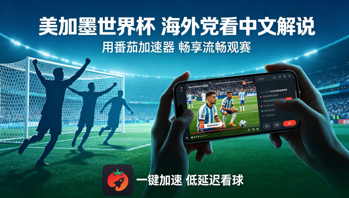 在越南看抖音世界杯直播仅限中国大陆教程