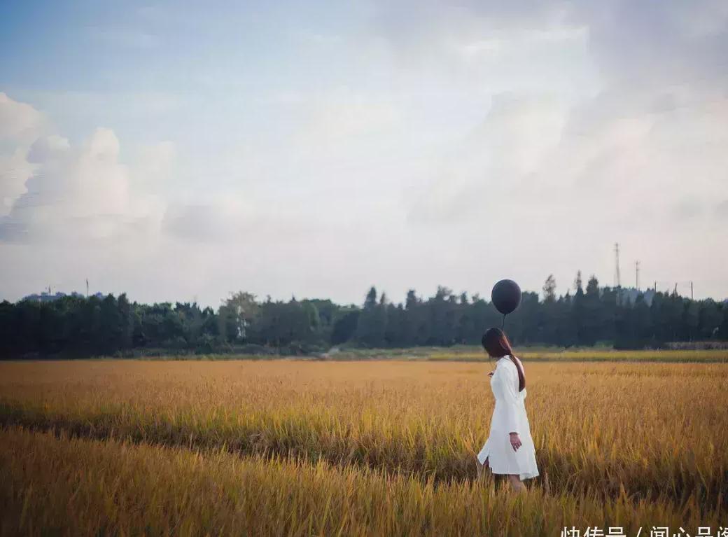 在国外如何看央视教程